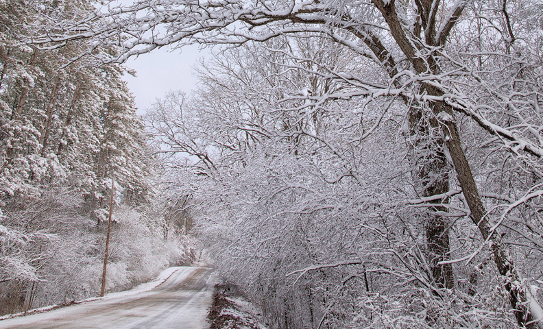 Wisconsin Rustic Roads Guide