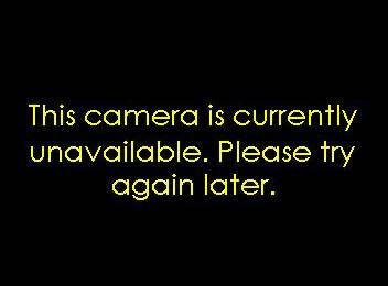 I 41 43 894 At 19th St Live Traffic Camera